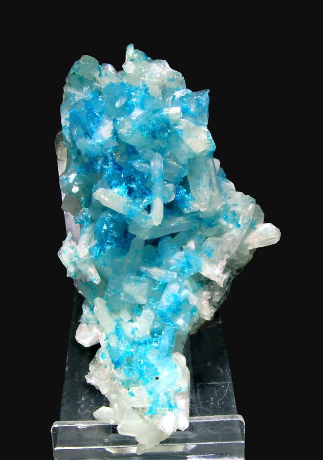 specimens/s_imagesJ7/JC6J7f.jpg