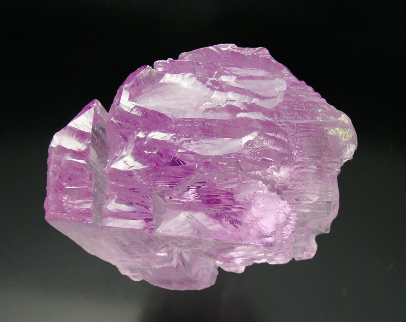 specimens/s_imagesK0/FA47K0t.jpg