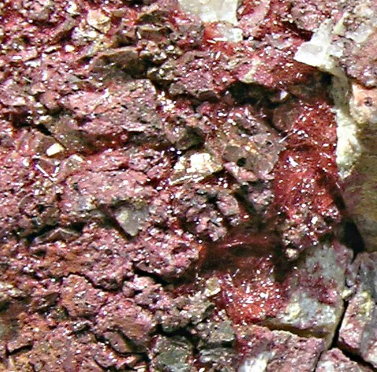 specimens/s_imagesK4/RC6K4d.jpg