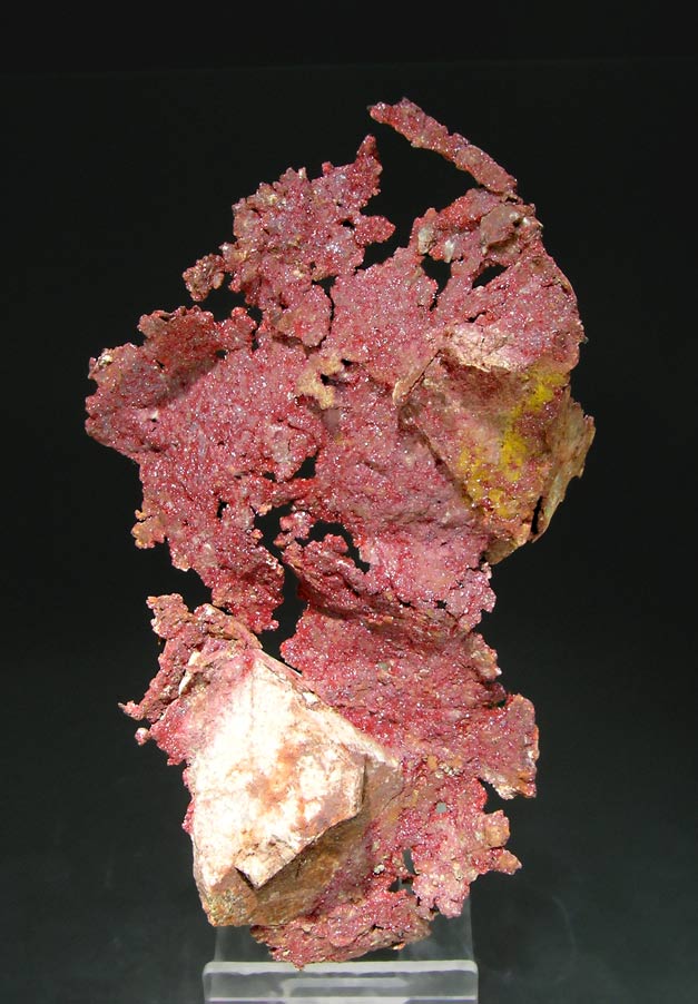 specimens/s_imagesK8/RH47K8f.jpg