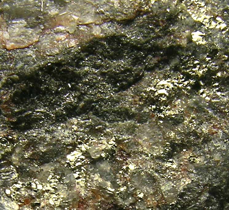specimens/s_imagesK9/MF14K9d.jpg