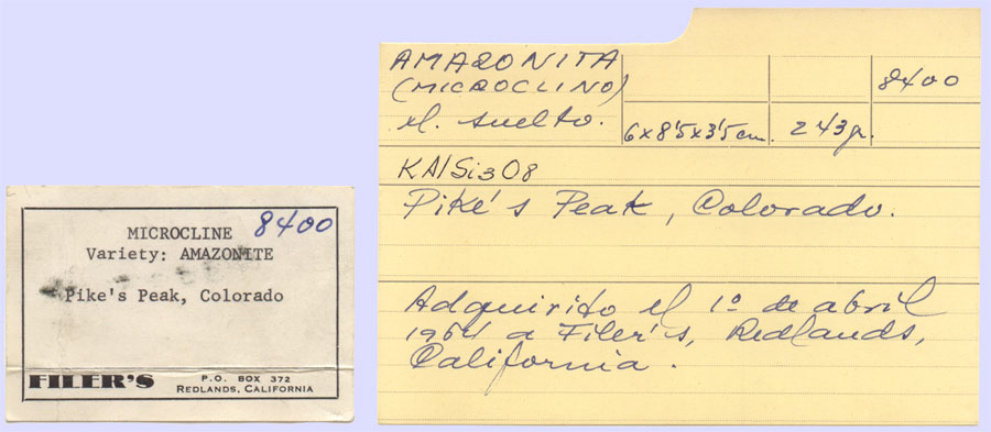 specimens/s_imagesK9/RL27K9e.jpg