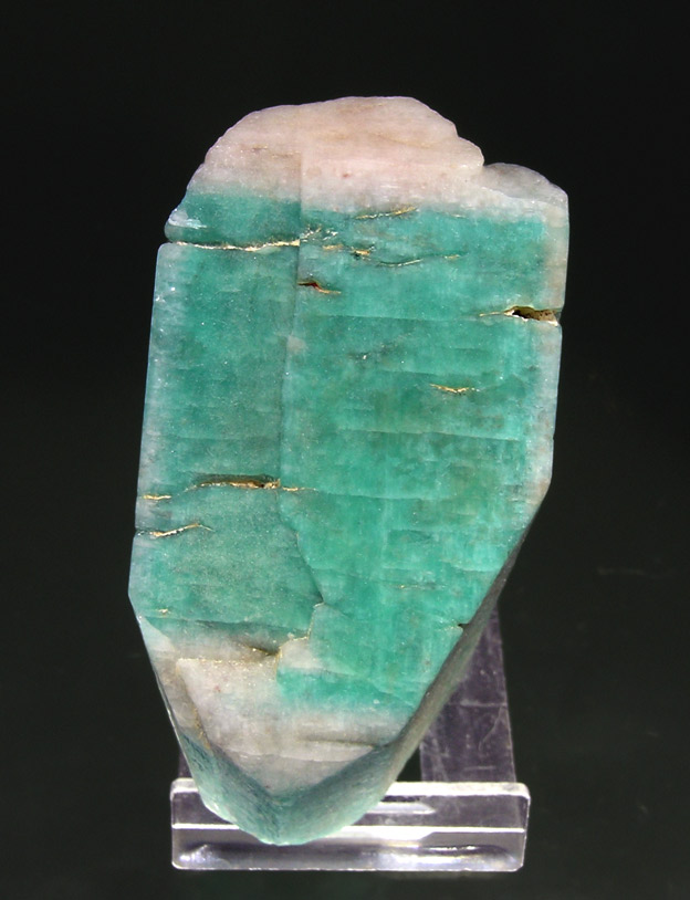 specimens/s_imagesK9/RL27K9t.jpg