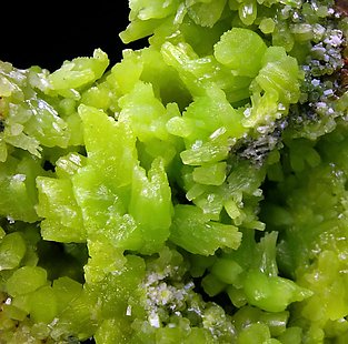 Pyromorphite. 