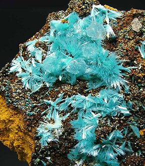 Aurichalcite with Limonite. 