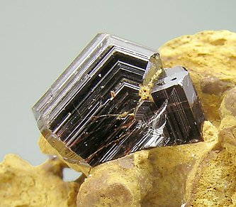 Rutile (twinned). 