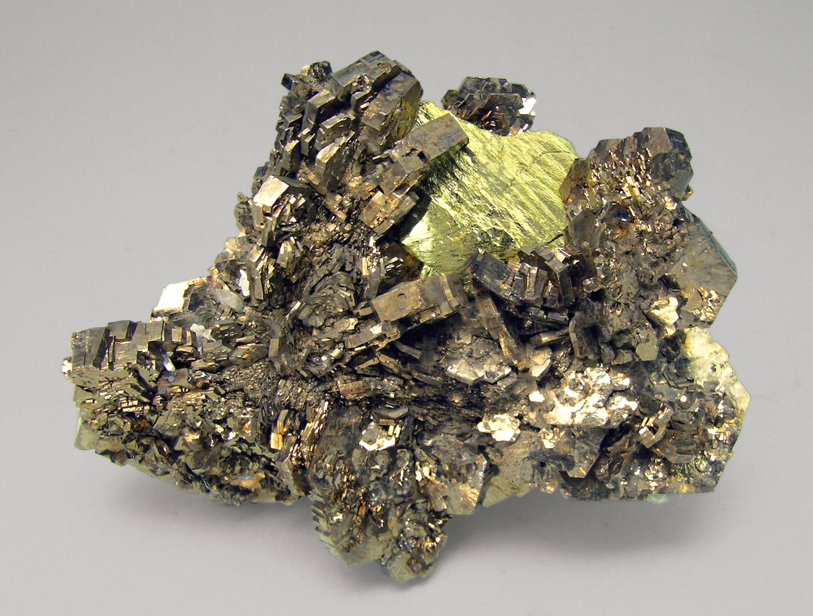 specimens/s_imagesL9/KF88L9r.jpg