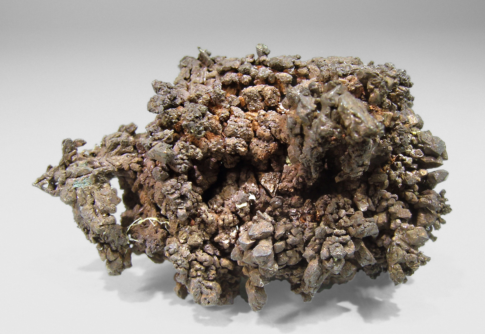specimens/s_imagesL9/RL64L9.jpg