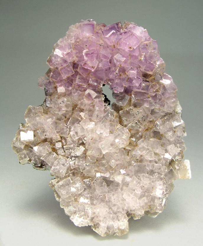 specimens/s_imagesM0/FX63M0f.jpg