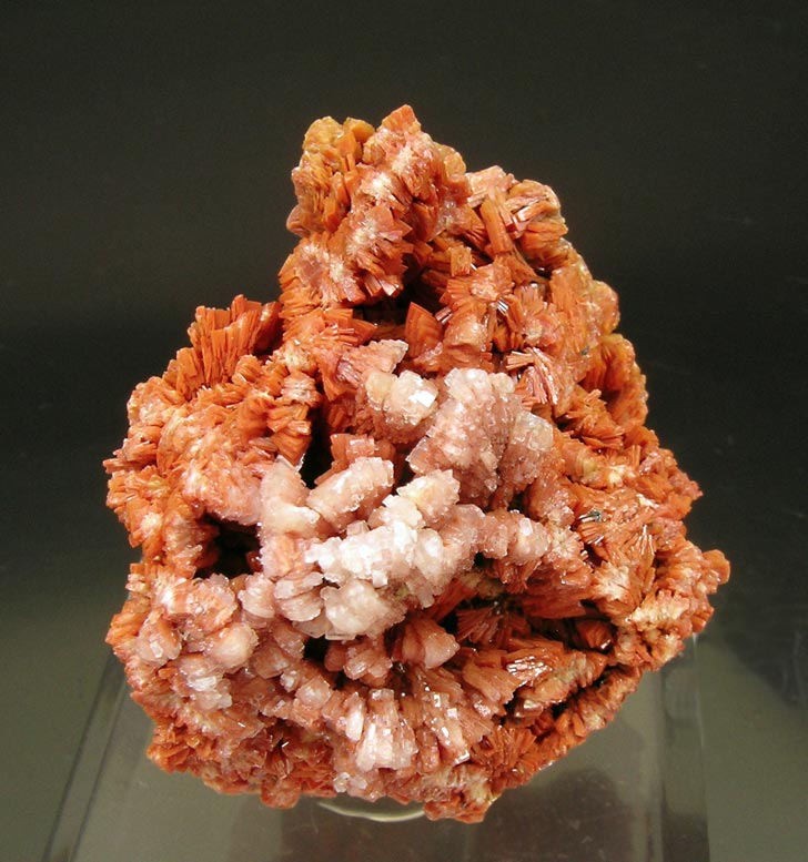 specimens/s_imagesM0/KP96M0f.jpg