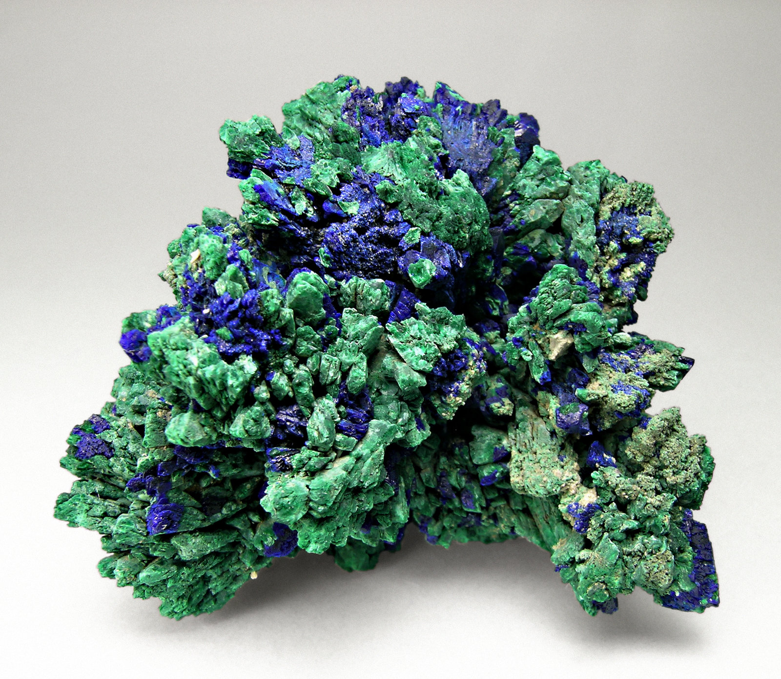 specimens/s_imagesM2/EJ46M2f.jpg