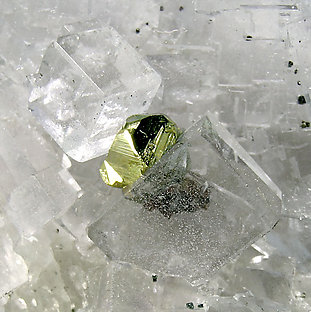 Fluorite with Chalcopyrite. 