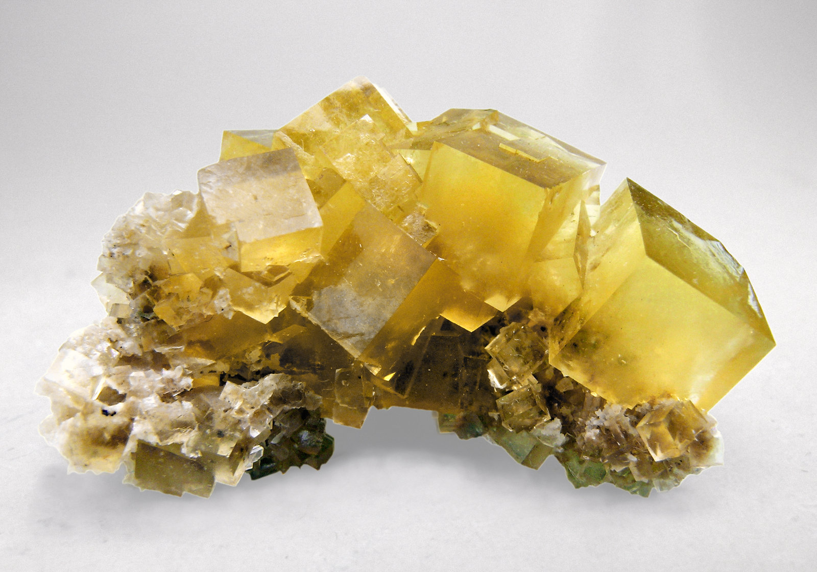 specimens/s_imagesM2/FV59M2.jpg