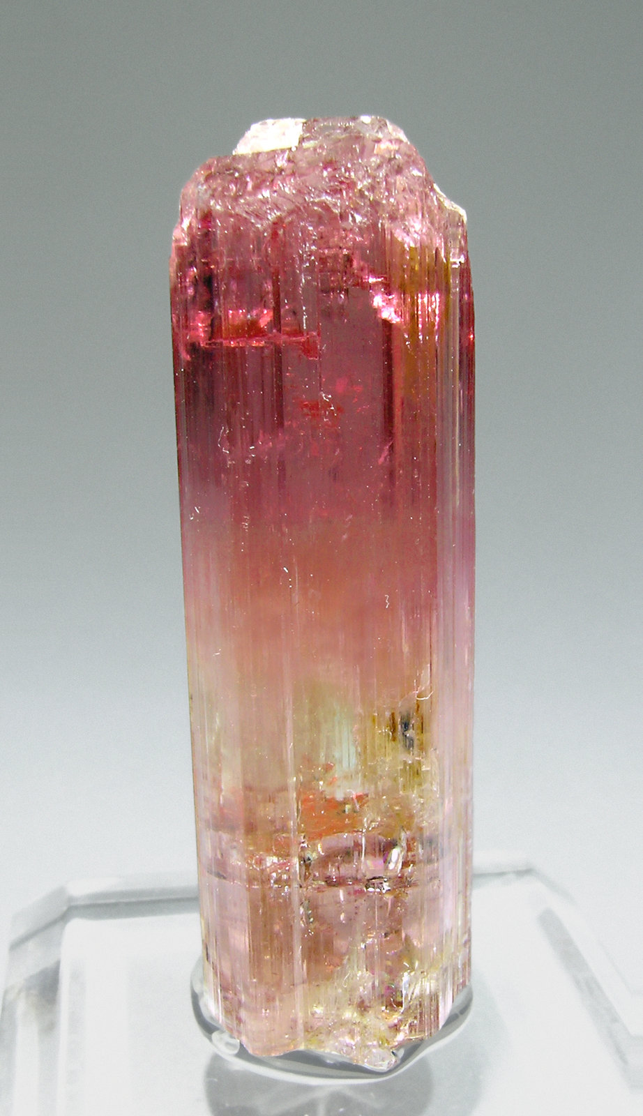specimens/s_imagesM2/RC48M2f.jpg