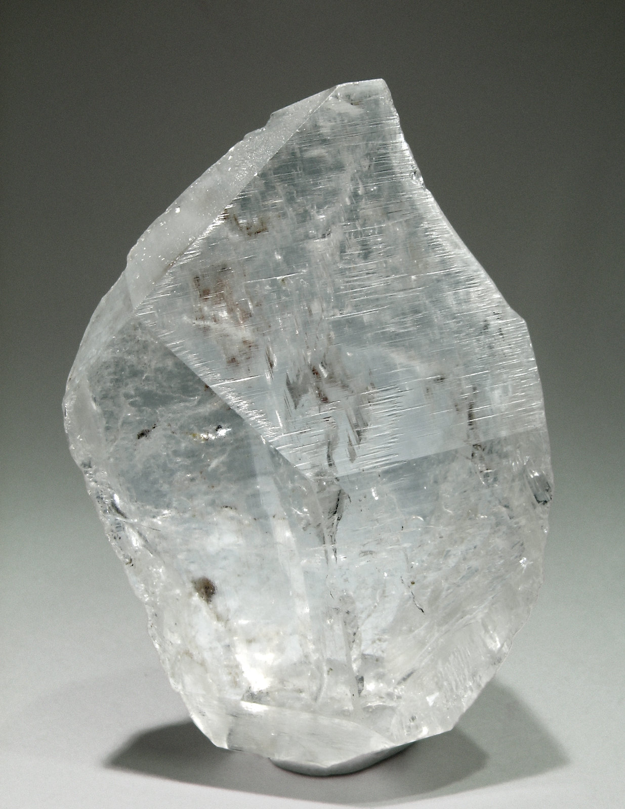 specimens/s_imagesM2/RY96M2.jpg