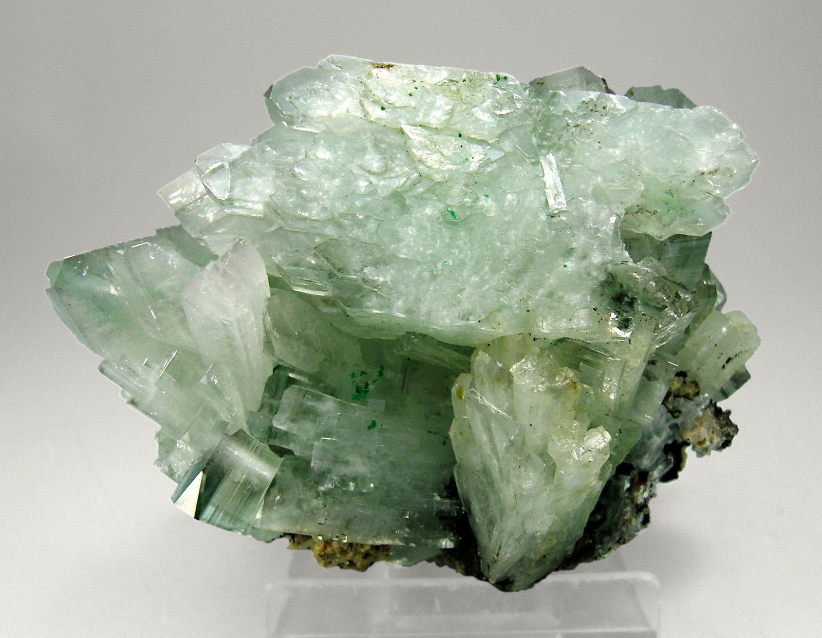 specimens/s_imagesM3/KB92M3t.jpg