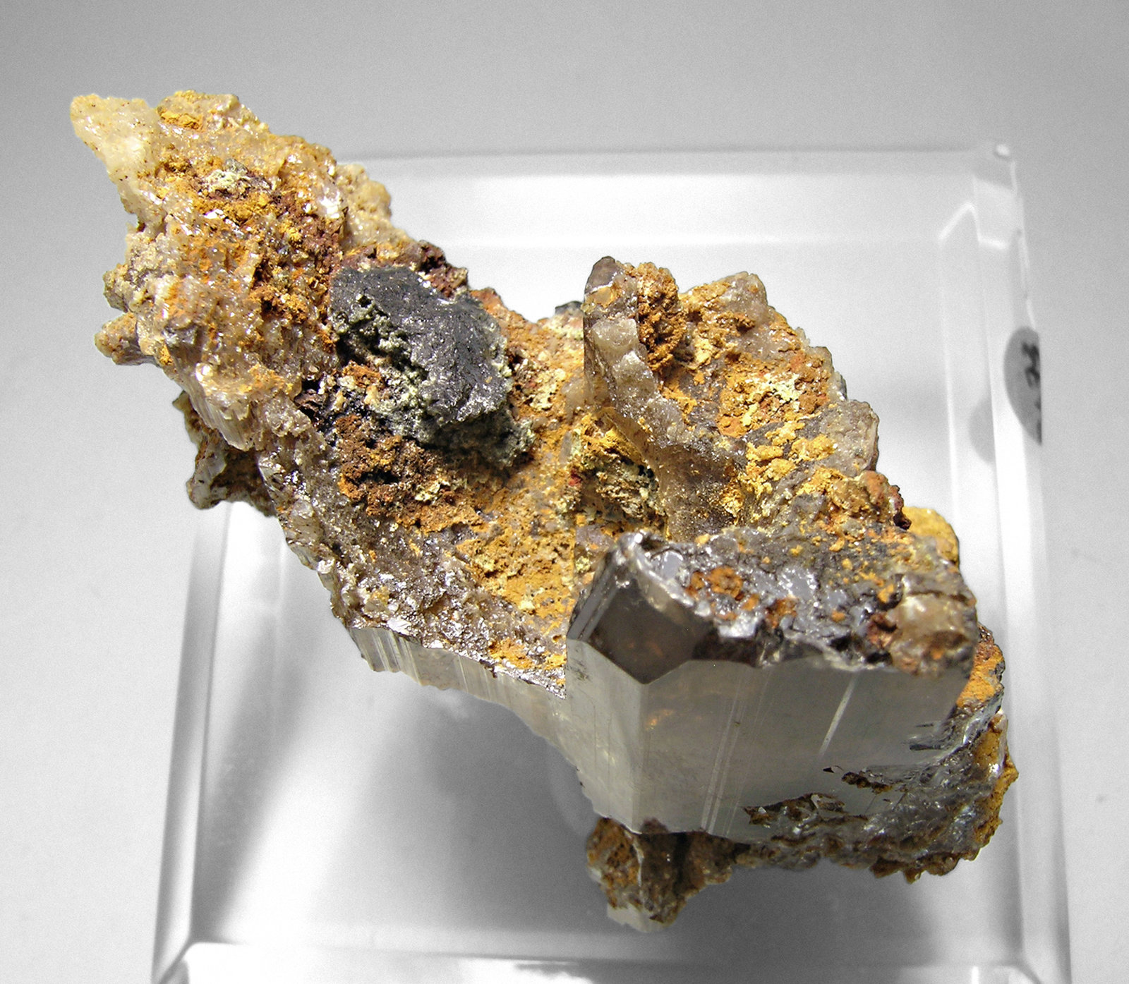 specimens/s_imagesM3/KR49M3t.jpg