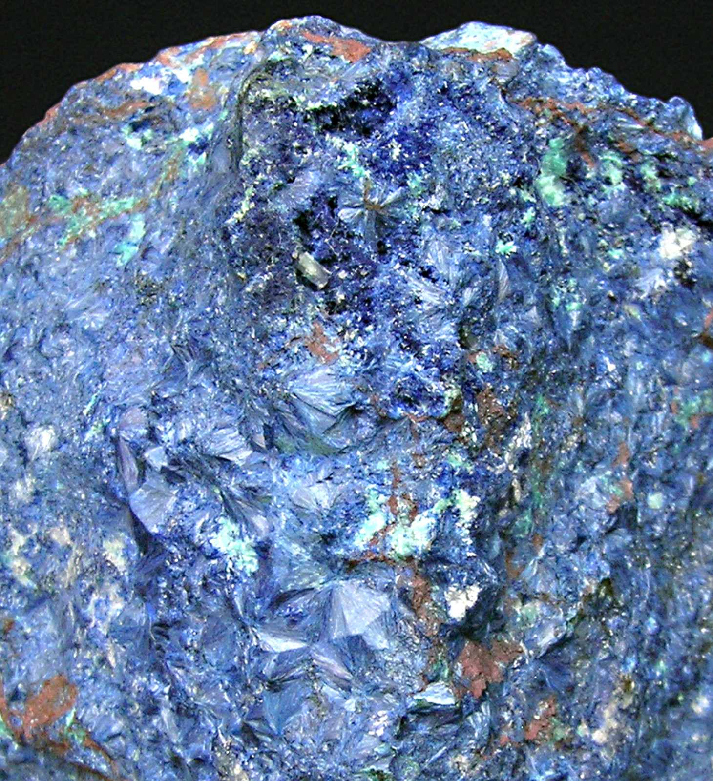 specimens/s_imagesM3/RX61M3d.jpg