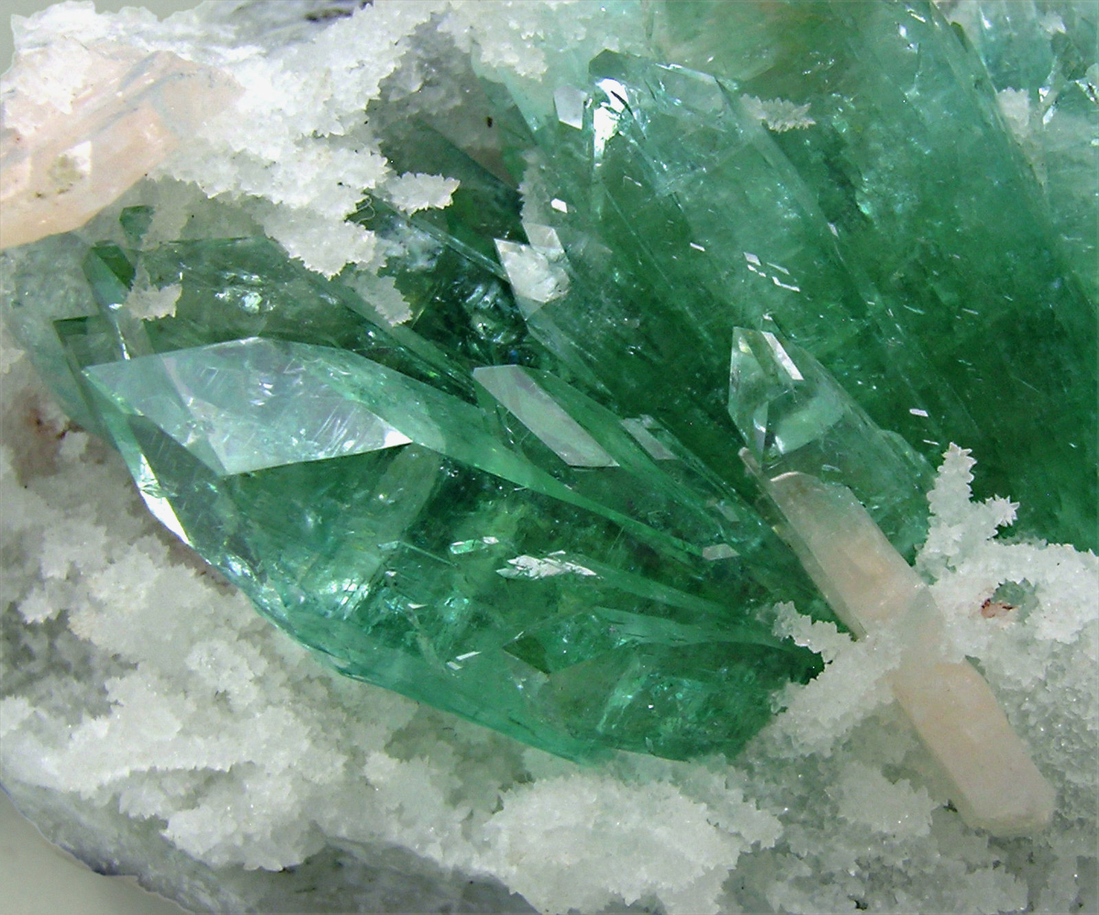 specimens/s_imagesM4/Apophyllite-AR89M4d1.jpg