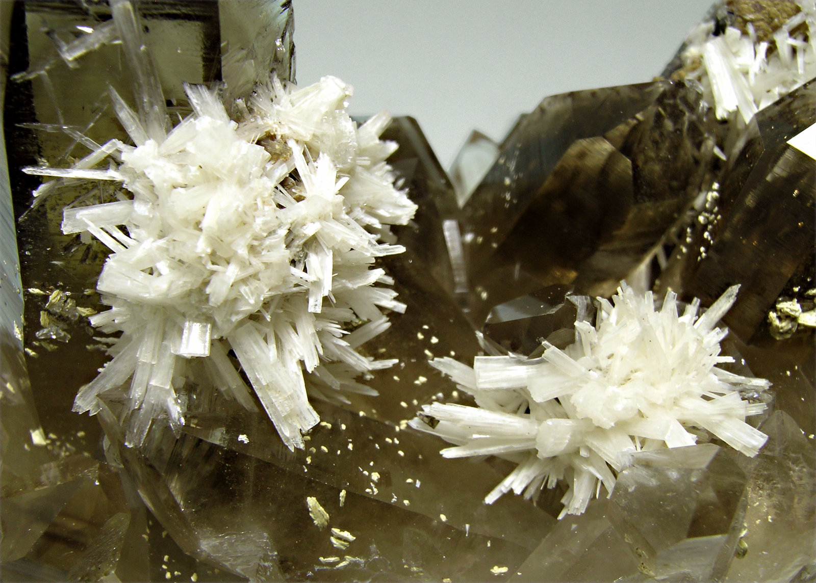 specimens/s_imagesM4/Bertrandite-AF99M4d.jpg