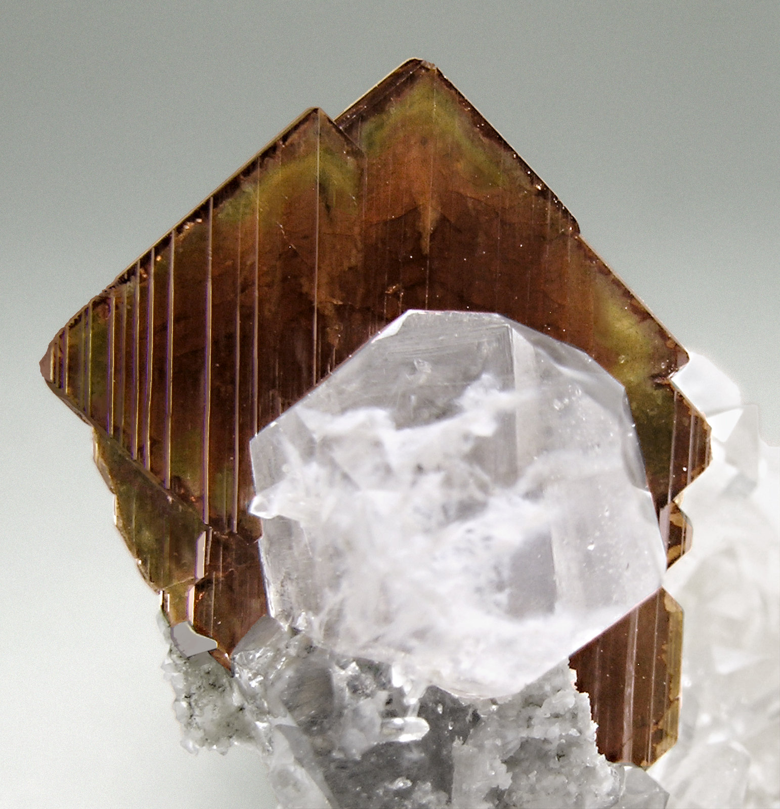 specimens/s_imagesM4/Brookite-AP94M4d.jpg