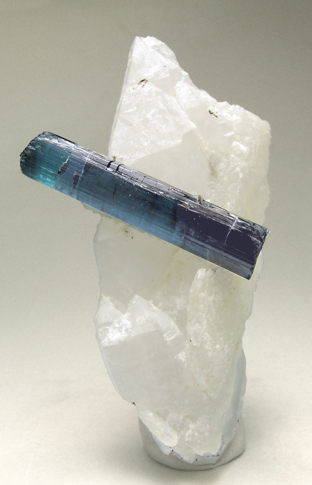 specimens/s_imagesM4/Elbaite-Indicolite-AB76M4s.jpg