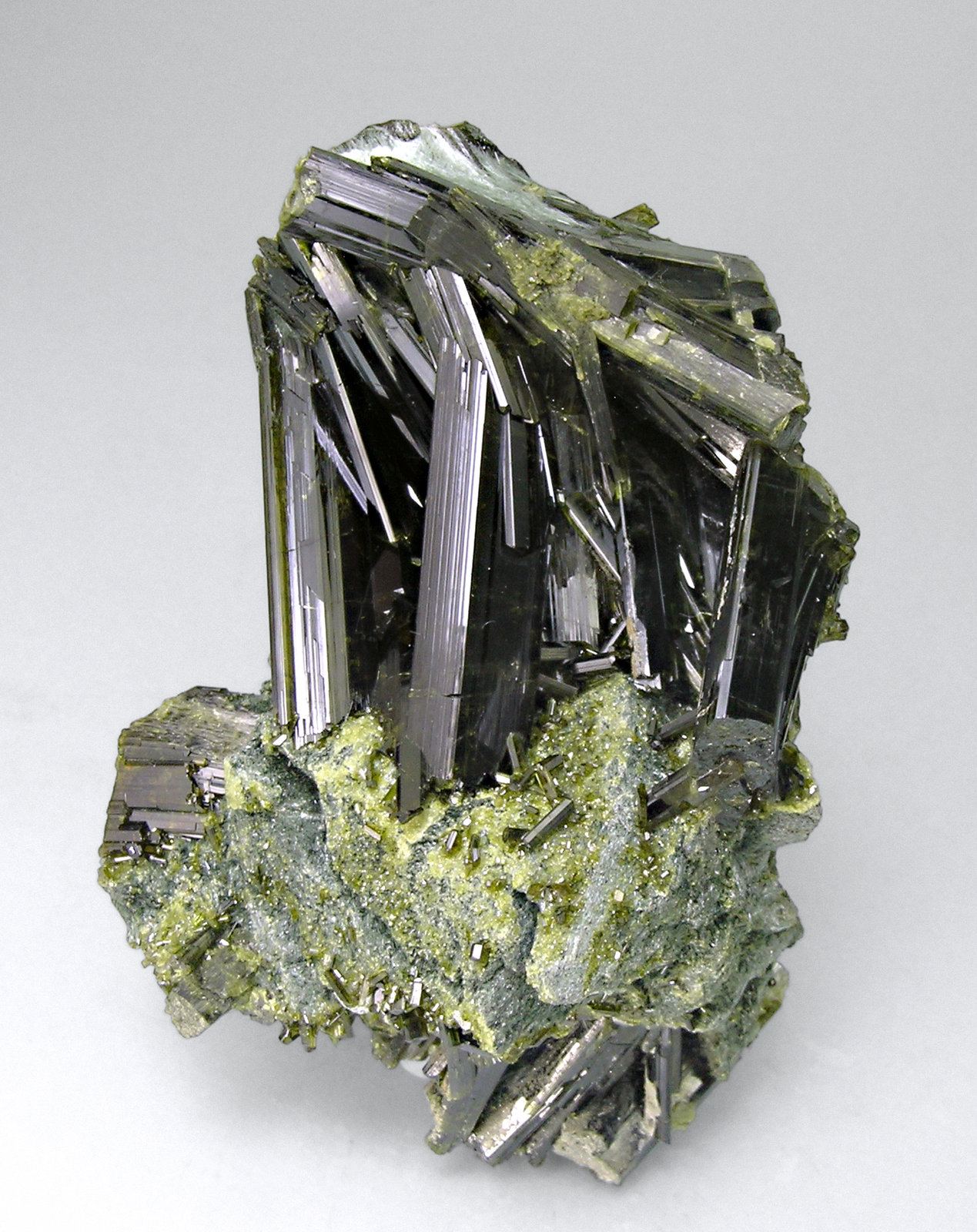 specimens/s_imagesM4/Epidote-AA92M4f.jpg