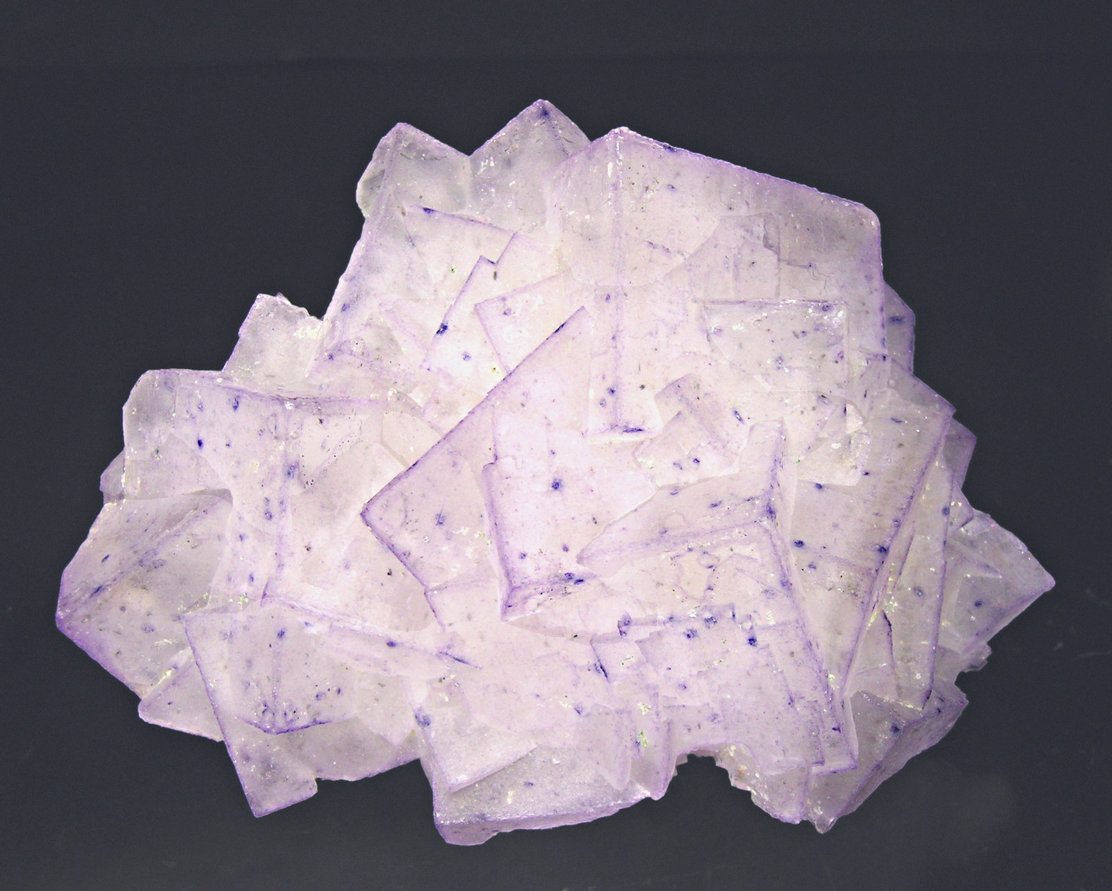 specimens/s_imagesM4/Fluorite-AM86M4f.jpg