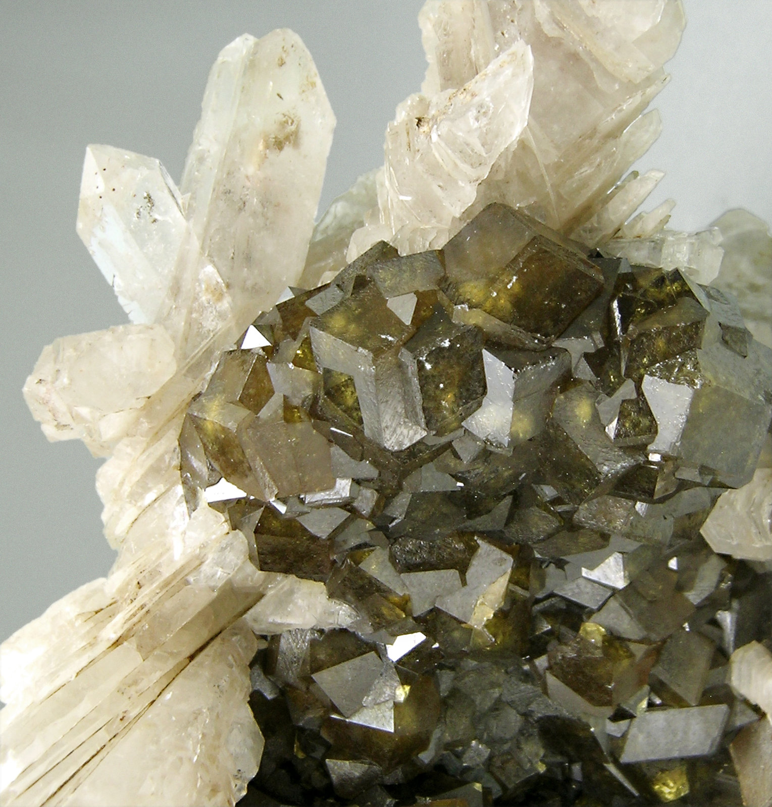 specimens/s_imagesM4/Quartz-AE50M4d.jpg