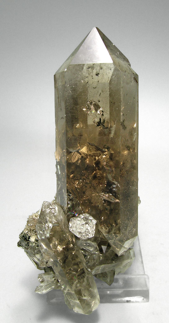 specimens/s_imagesM4/Smoky-Quartz-AF89M4f.jpg