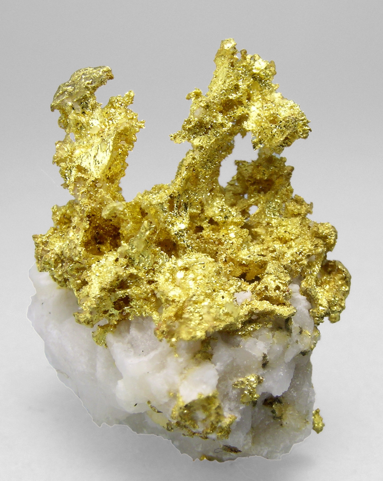 specimens/s_imagesM5/Gold-MD91M5r.jpg