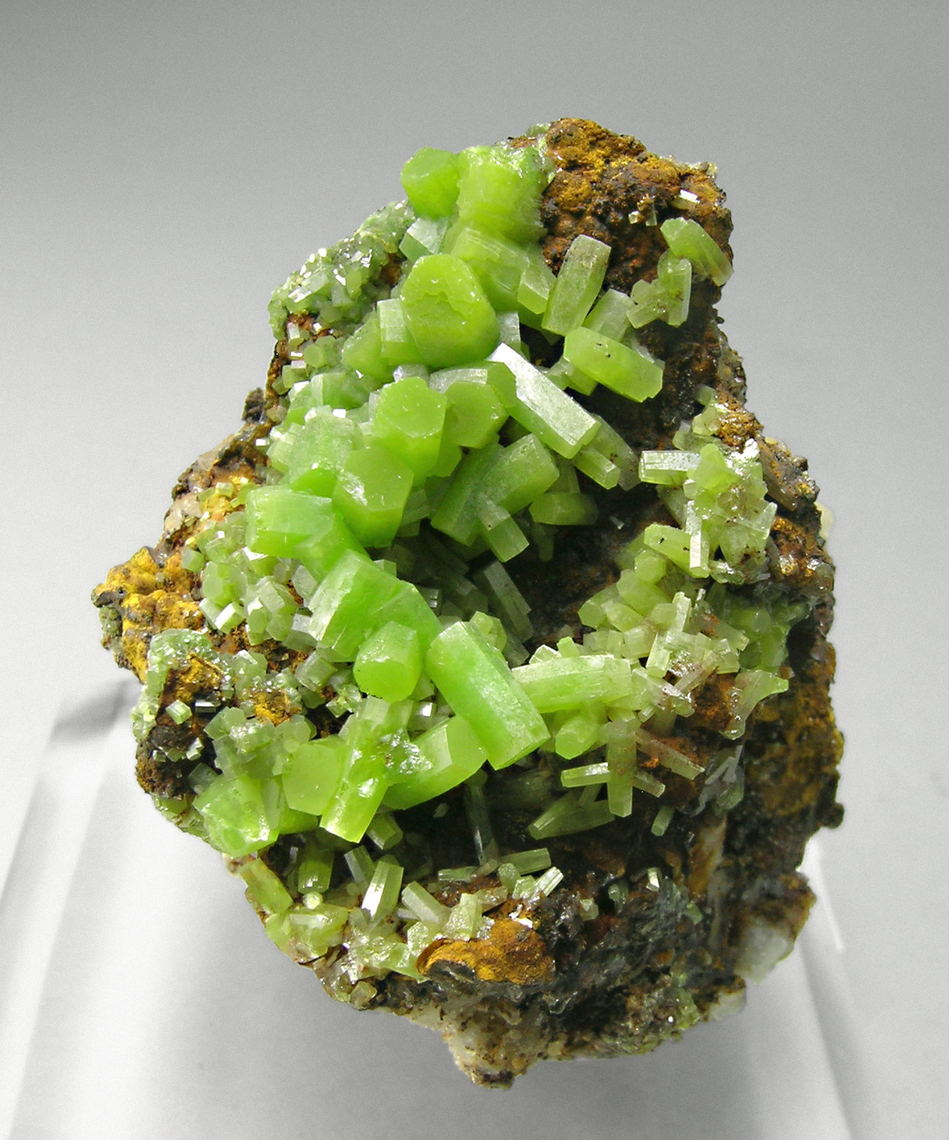 specimens/s_imagesM5/Pyromorphite-EM62M5.jpg