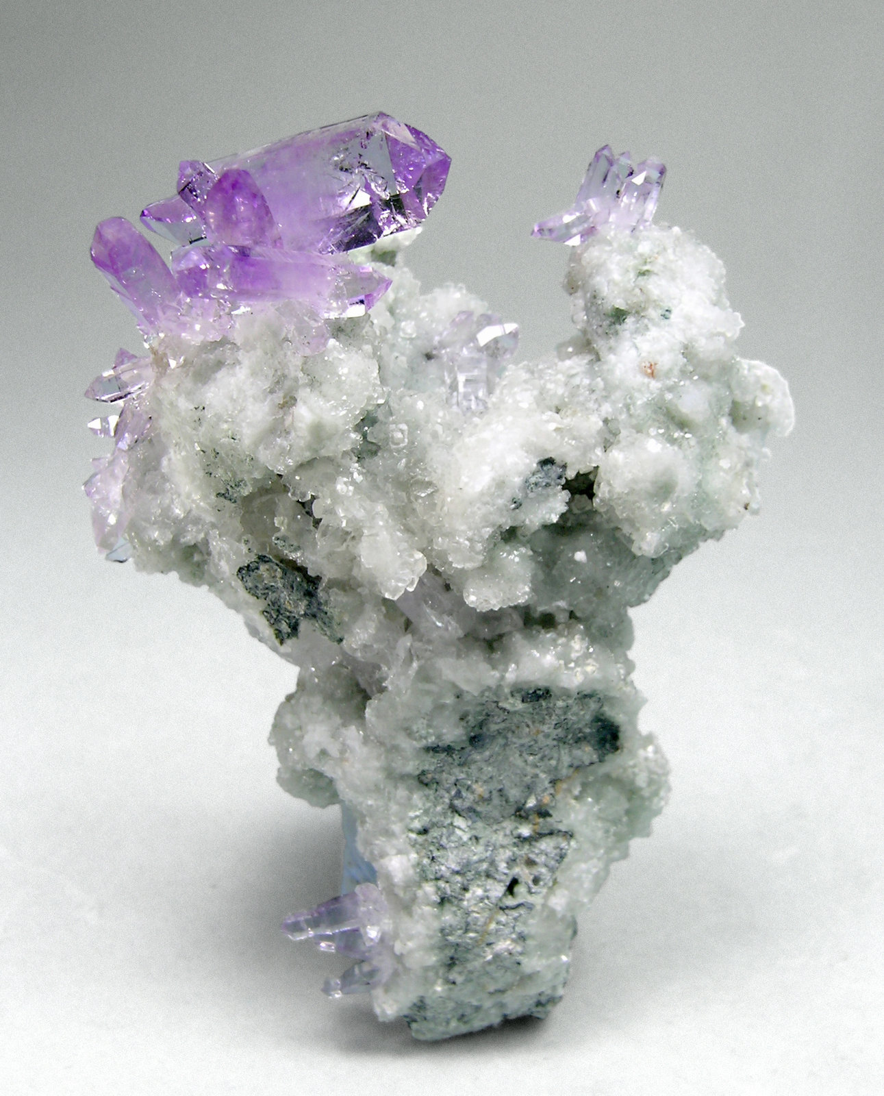 specimens/s_imagesM5/Quartz_Amethyst-MA6M5f.jpg