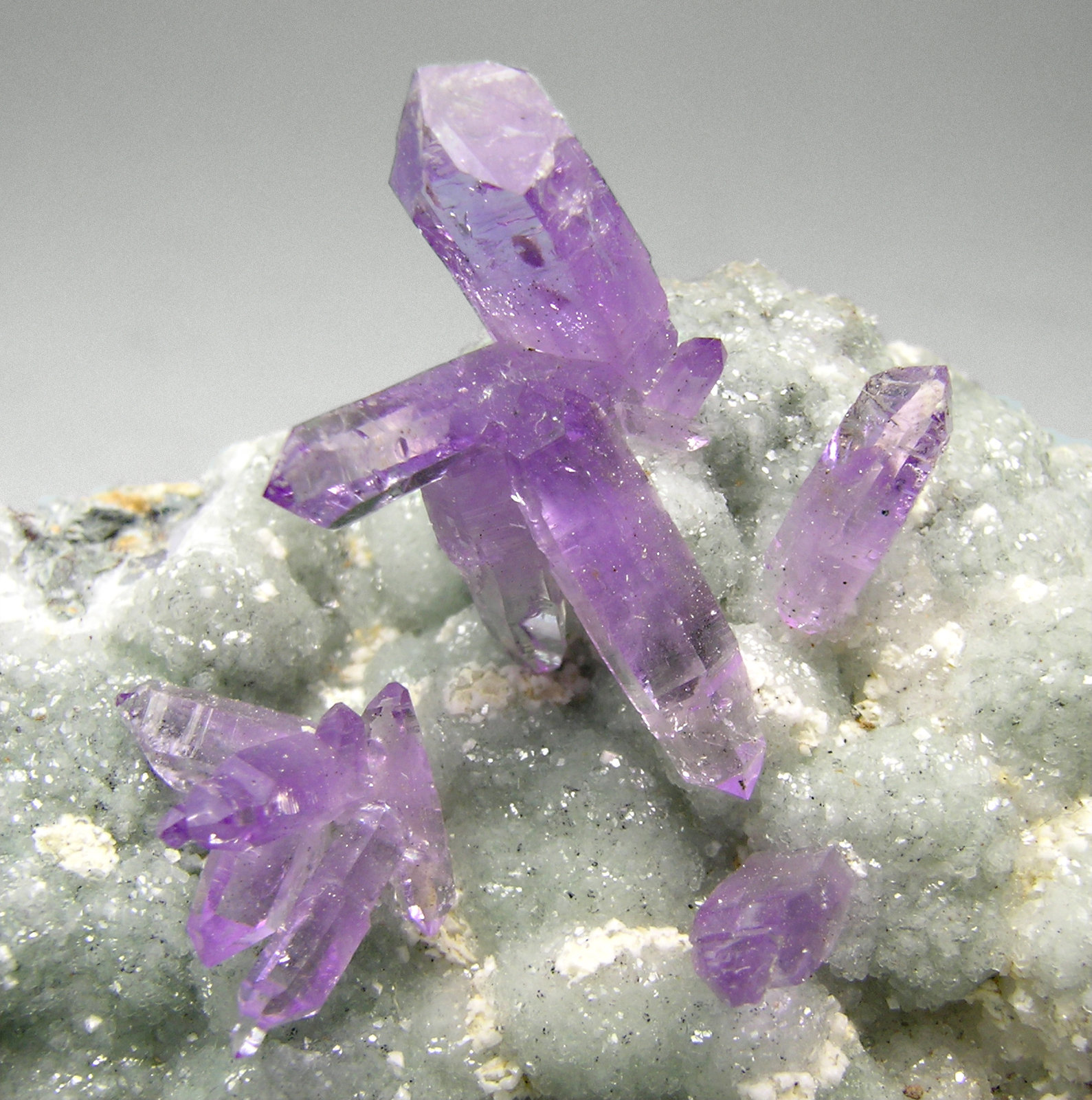 specimens/s_imagesM5/Quartz_Amethyst-MX57M5d.jpg