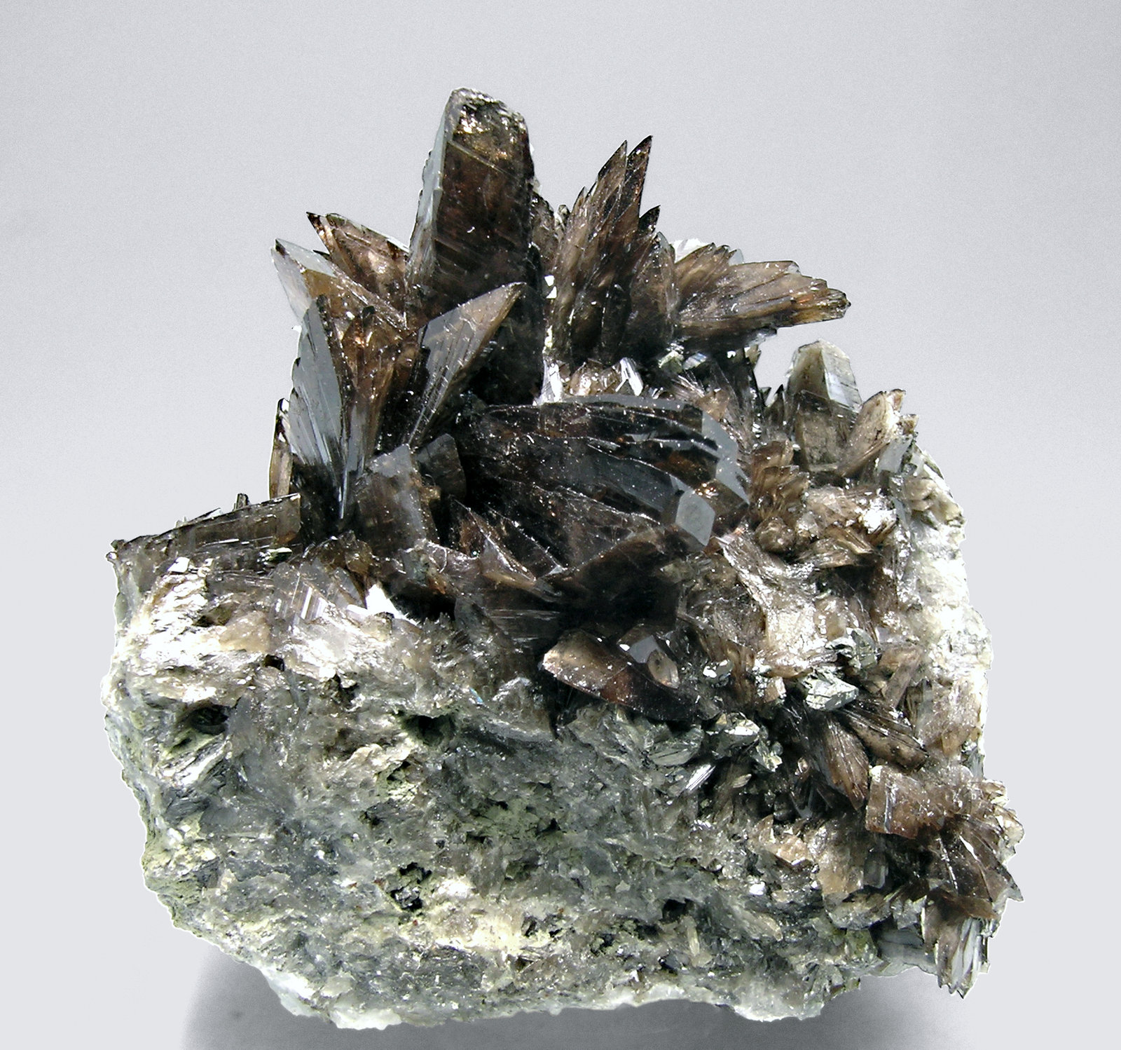 specimens/s_imagesM6/Axinite_Mn-AT96M6f.jpg