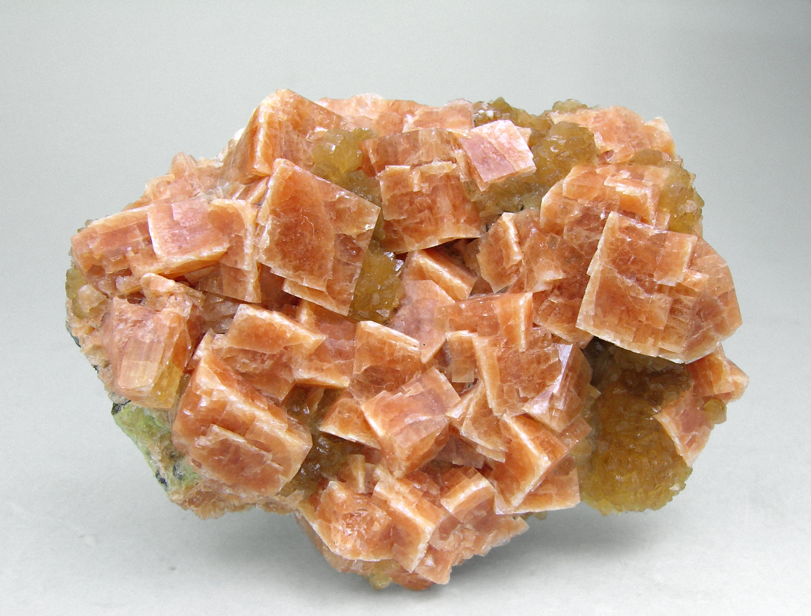 specimens/s_imagesM6/Chabazite-AJ16M6f.jpg