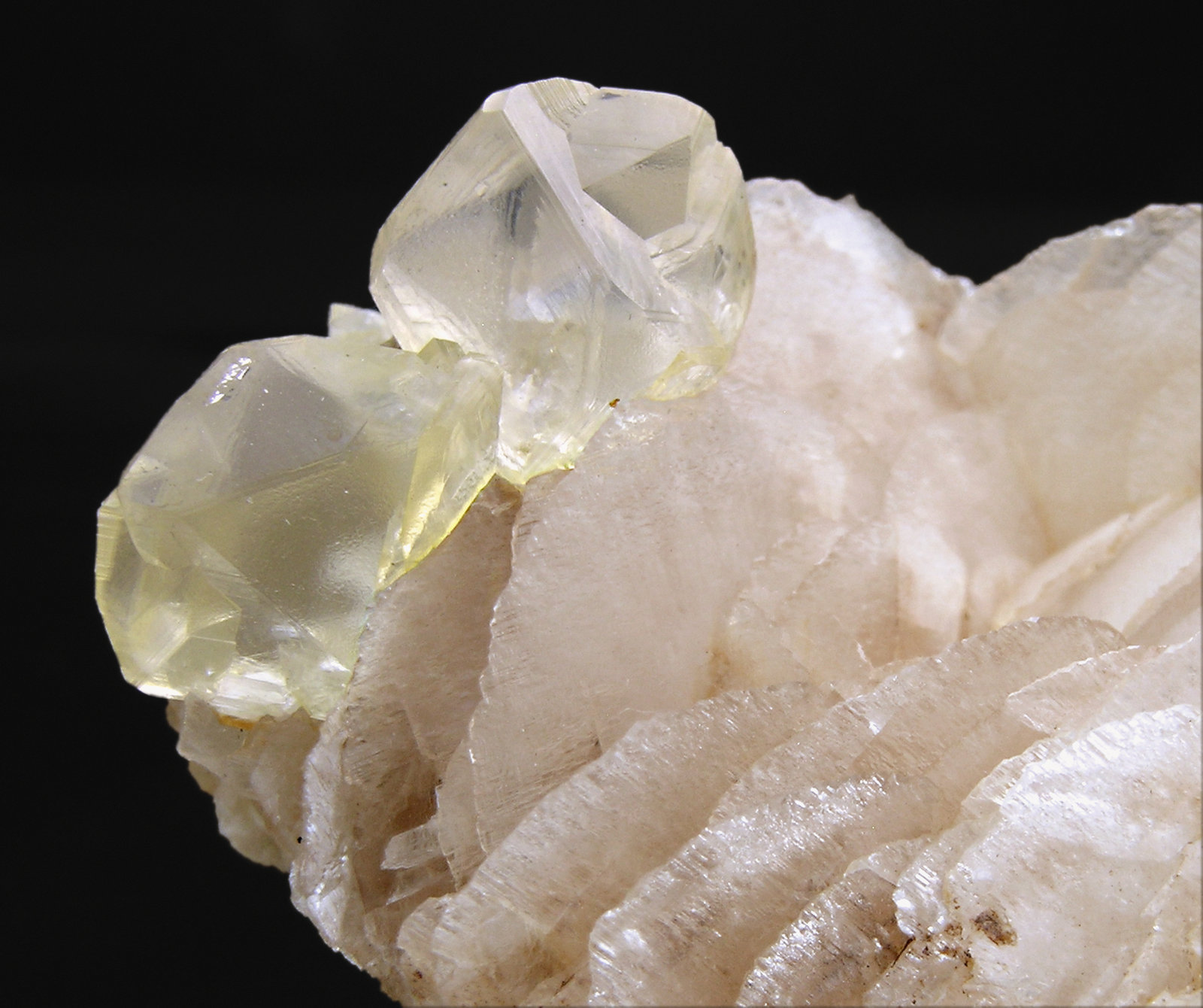specimens/s_imagesM6/Magnesite-AG45M6d.jpg