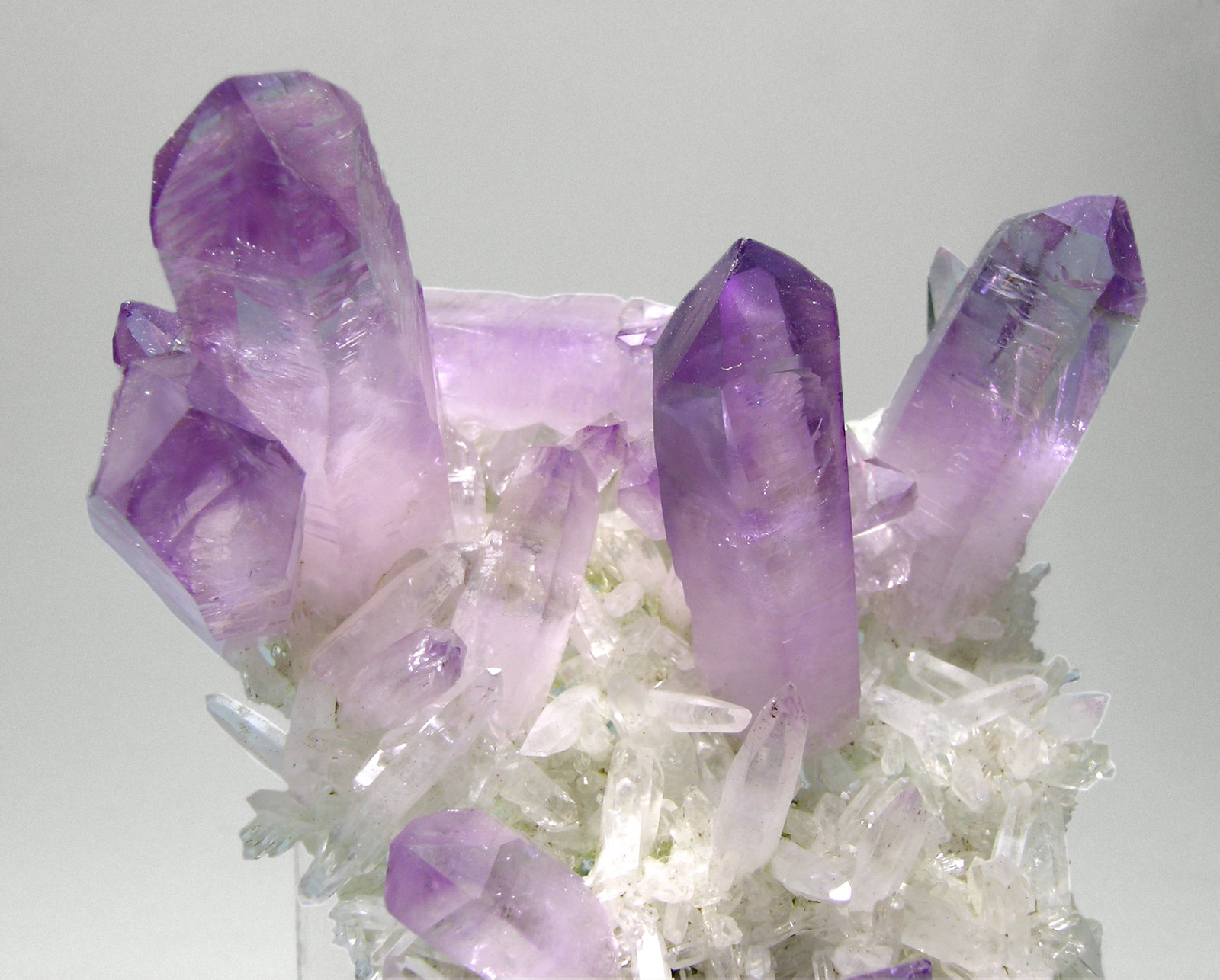 specimens/s_imagesM6/Quartz_amethyst-AZ48M6d.jpg