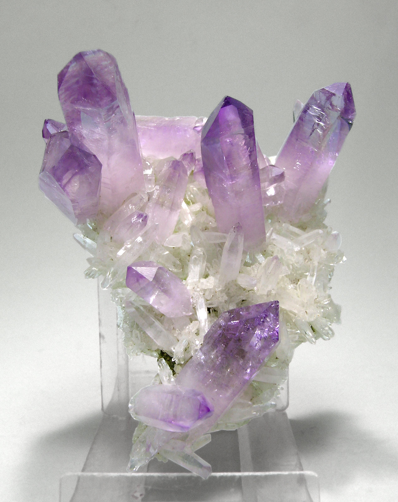 specimens/s_imagesM6/Quartz_amethyst-AZ48M6f.jpg