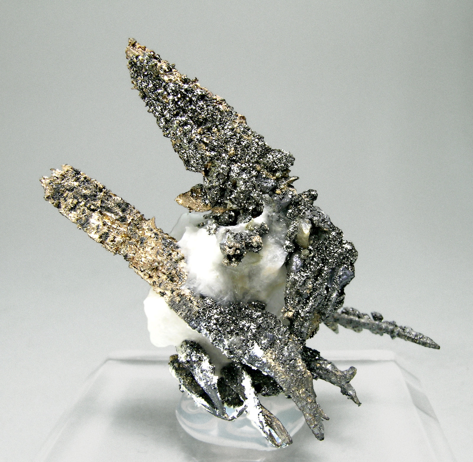 specimens/s_imagesM6/Silver-AP89M6r.jpg