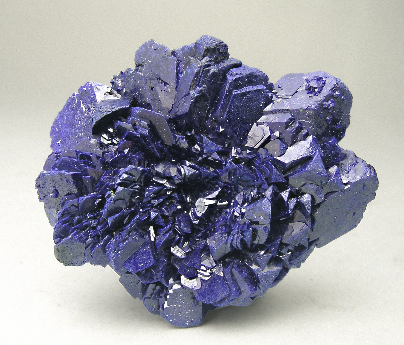 specimens/s_imagesM8/Azurite-AN26M8f.jpg