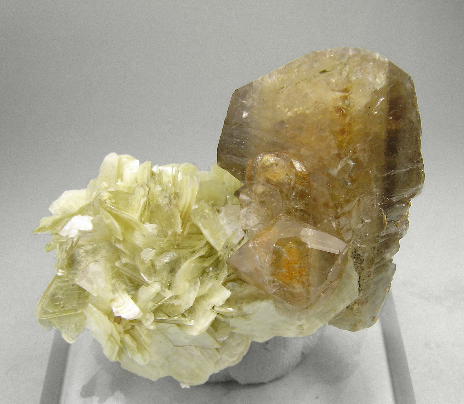 specimens/s_imagesM8/Herderite-NQ69M8f.jpg