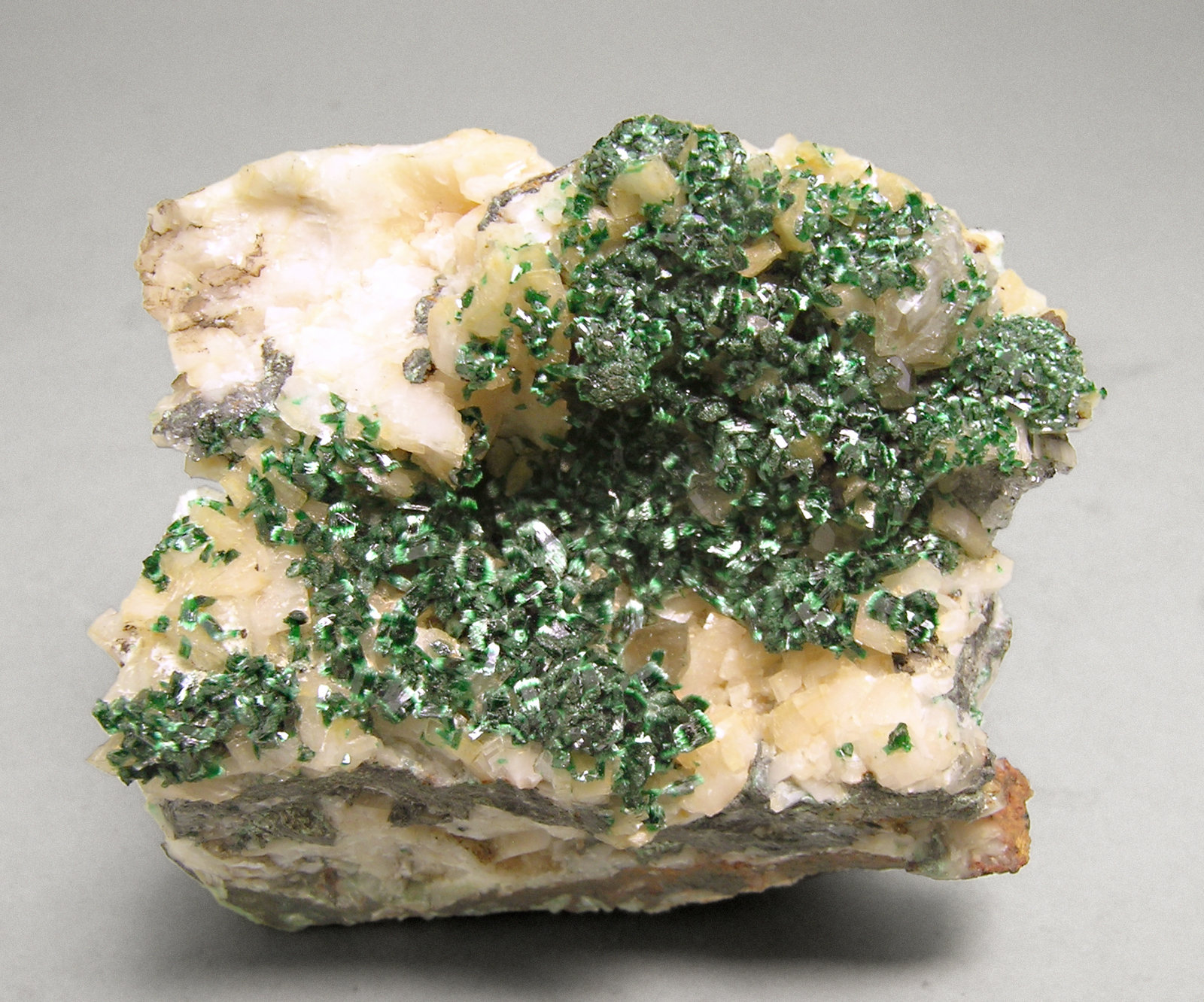 specimens/s_imagesM8/Malachite-AB59M8f.jpg