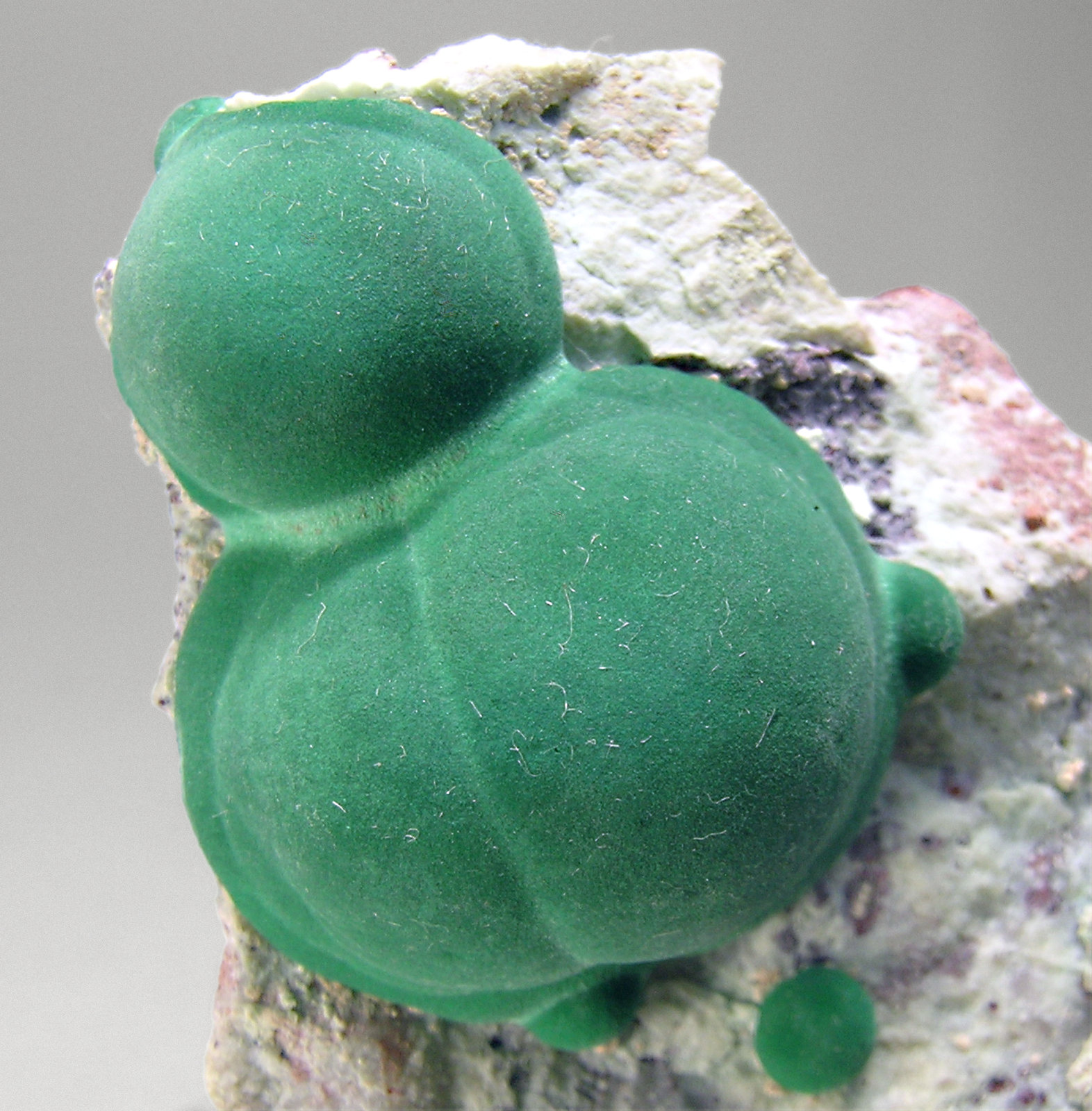 specimens/s_imagesM8/Malachite-AC27M8d.jpg