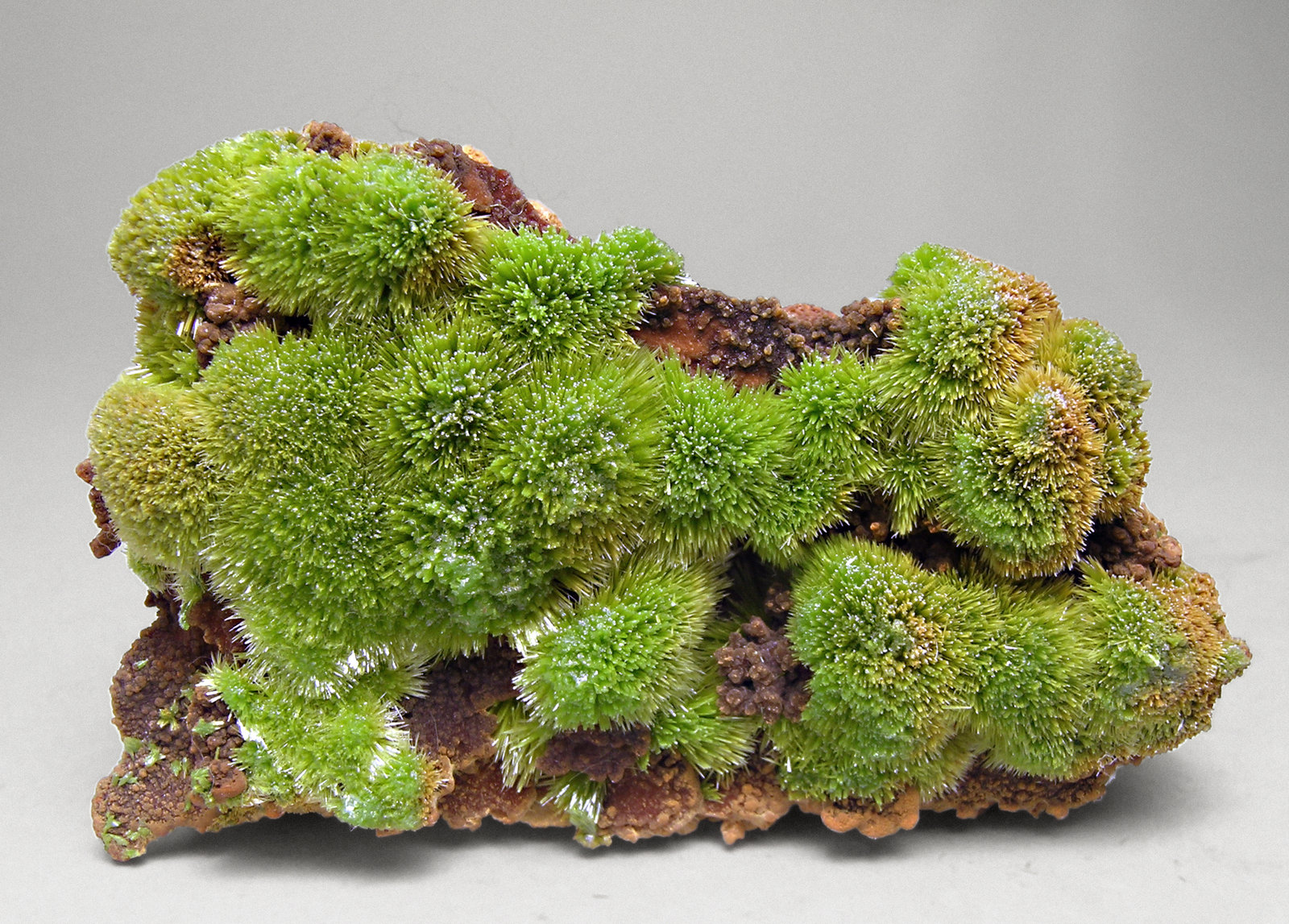 specimens/s_imagesM8/Pyromorphite-AG86M8.jpg