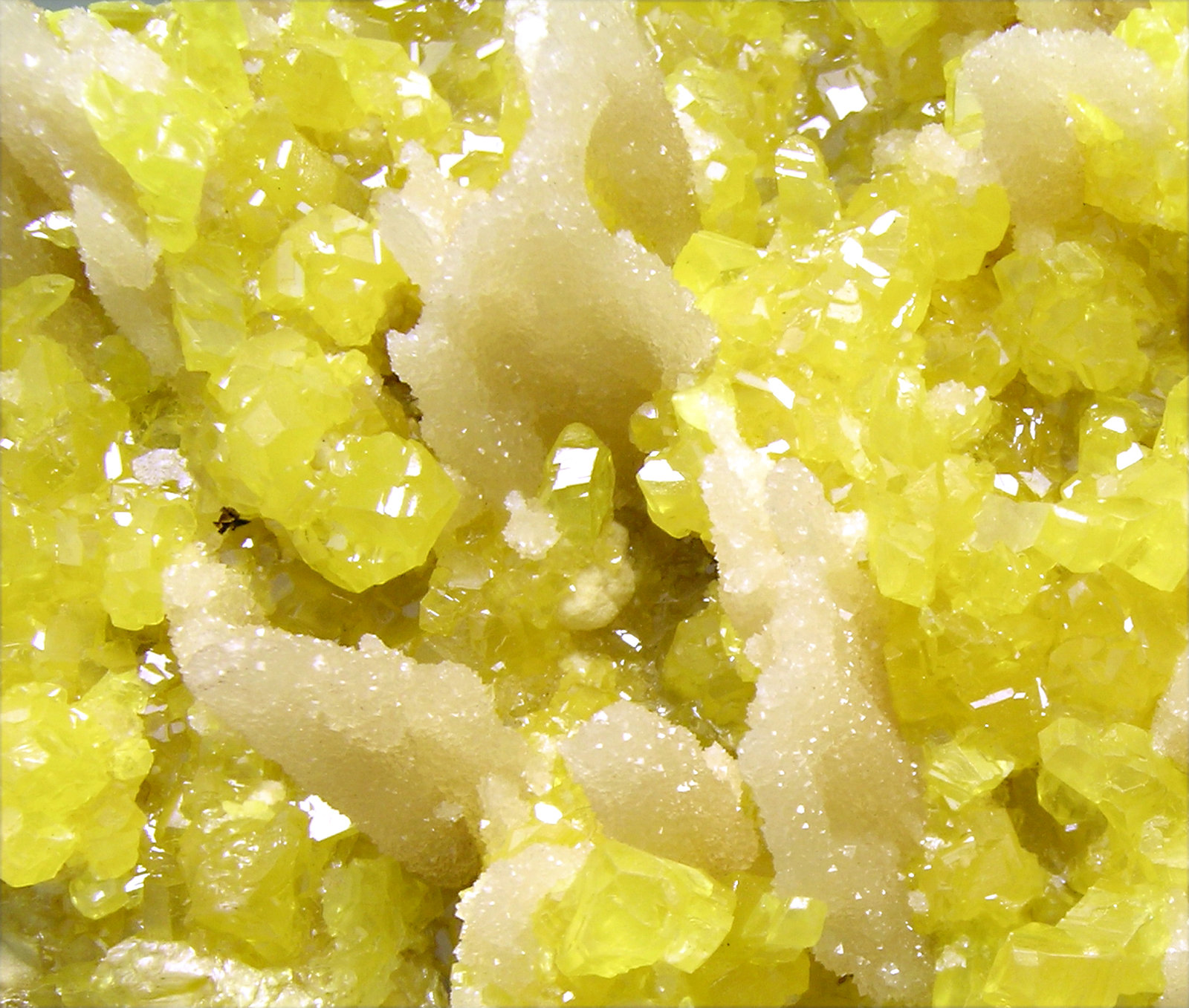 specimens/s_imagesM8/Sulfur-AM46M8d.jpg