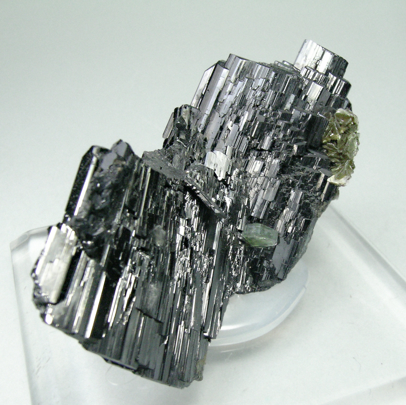 specimens/s_imagesM9/Ferberite-AC6M9f.jpg