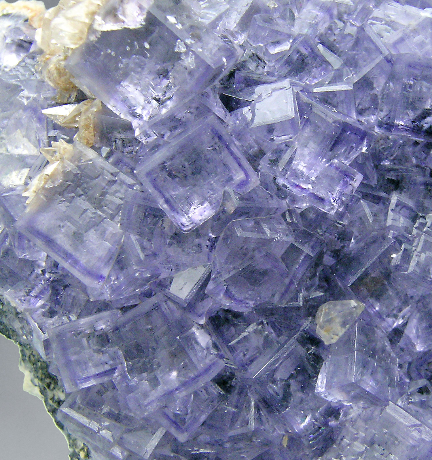 specimens/s_imagesM9/Fluorite-MB6M9d.jpg