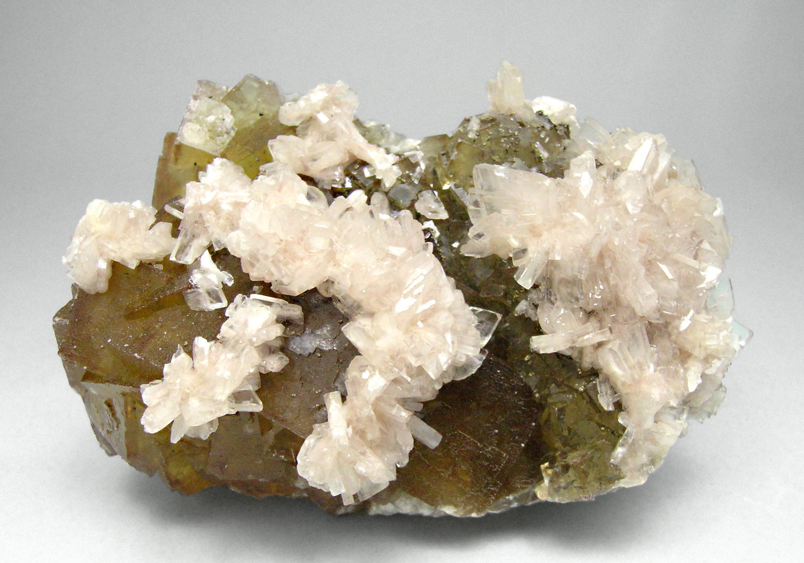 specimens/s_imagesM9/Rose-Barite-AZ64M9f.jpg