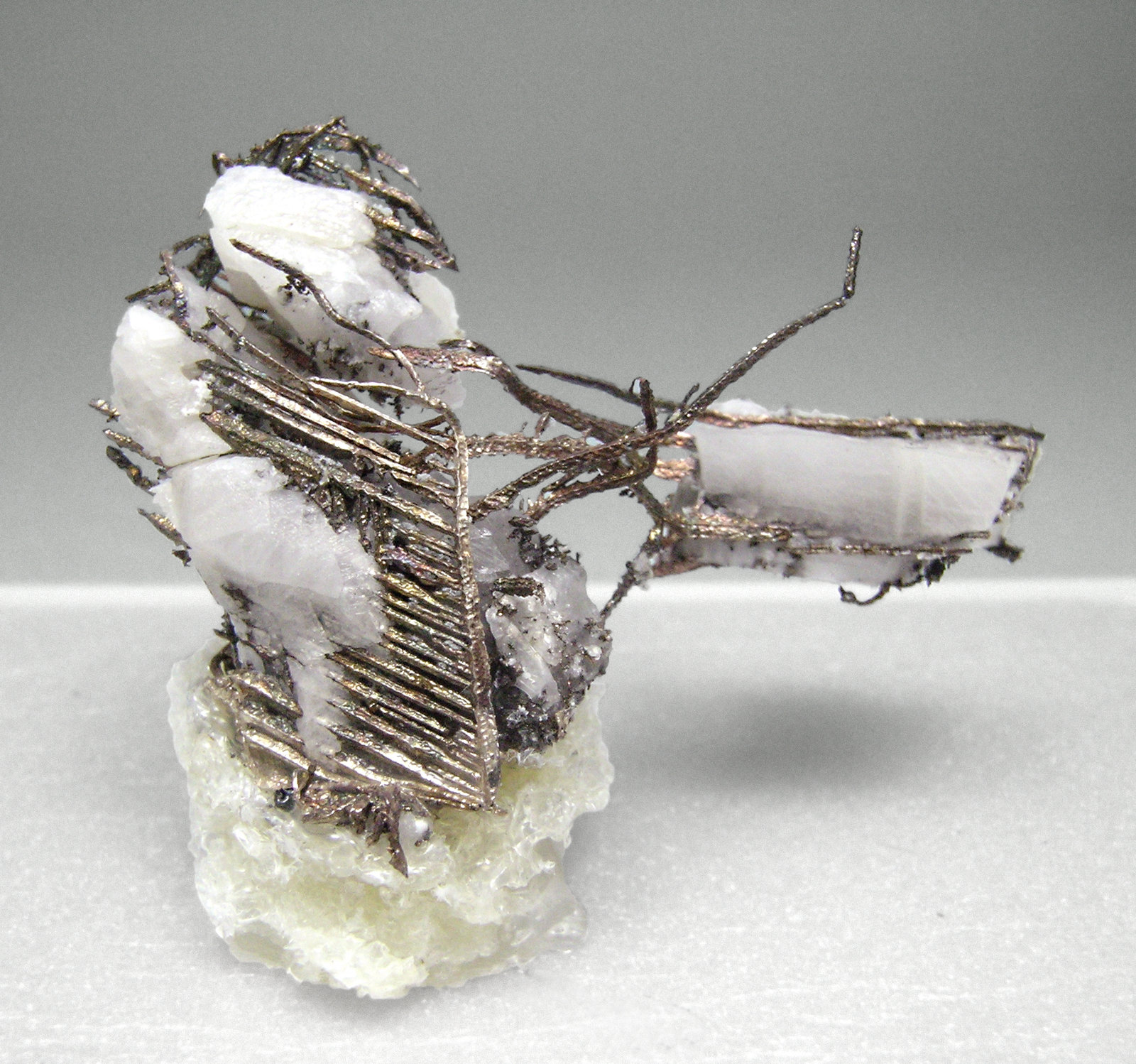 specimens/s_imagesM9/Silver-AJ26M9.jpg
